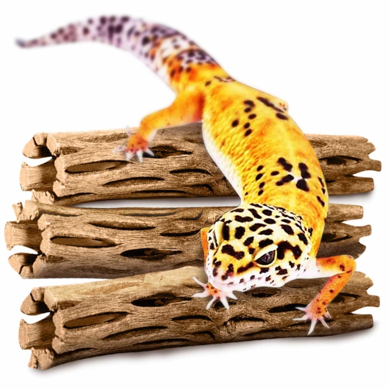 SunGrow Leopard Gecko Cholla Wood, 5 Inches Long, Create Basking Spot, Artistic Home-Decor, Lizards and Bearded Dragons, 6-Pack - Image 2